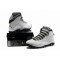 Air Jordan X (10) Retro Steel 2013