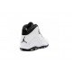 Air Jordan X (10) Retro Steel 2013