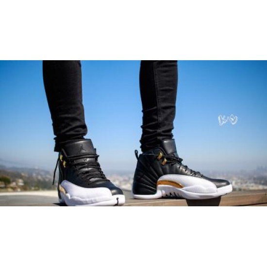 Air Jordan 12 Wings