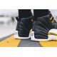 Air Jordan 12 Wings