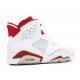 Air Jordan 6 Alternate