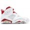 Air Jordan 6 Alternate