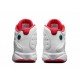 Air Jordan 13 History of Flight