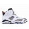 Air Jordan 6 Retro Ltr Flint Grey