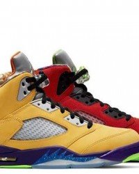 Air Jordan 5 Retro SE What The