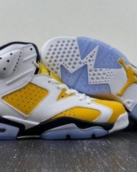 Air Jordan 6 CT8529-170