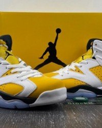 Air Jordan 6 CT8529-170